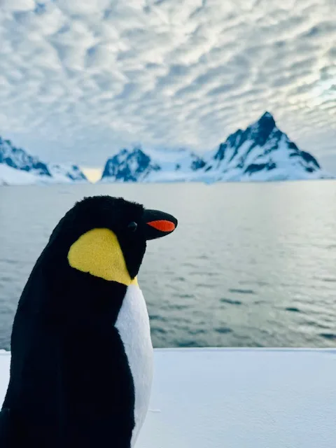 Member’s Cruise to Antartica | Luxuries Unlimited